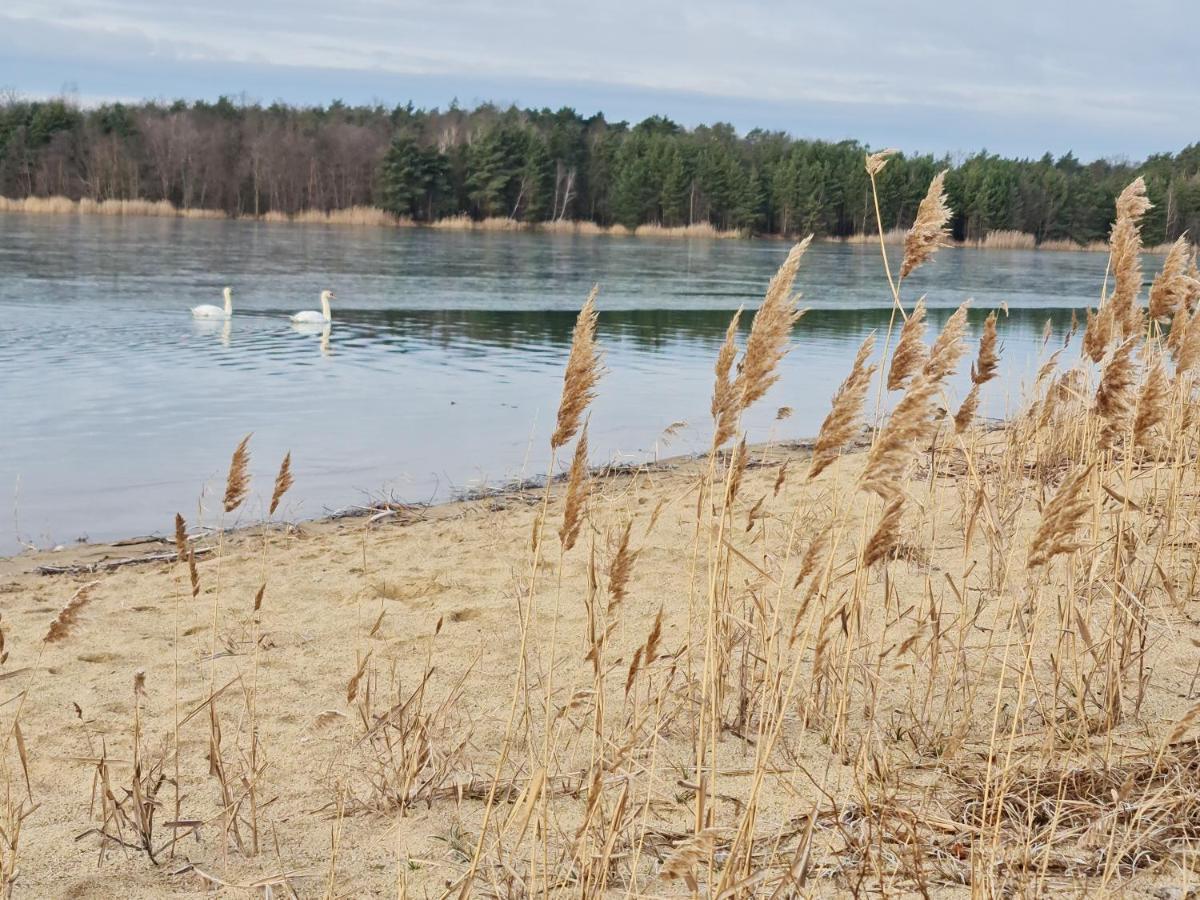 Willa Ferienhaeuser Kiebitzsee Falkenburg Zewnętrze zdjęcie