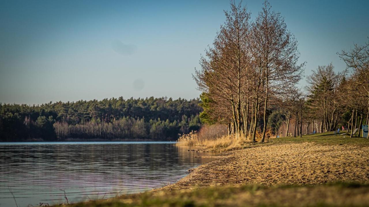 Willa Ferienhaeuser Kiebitzsee Falkenburg Zewnętrze zdjęcie