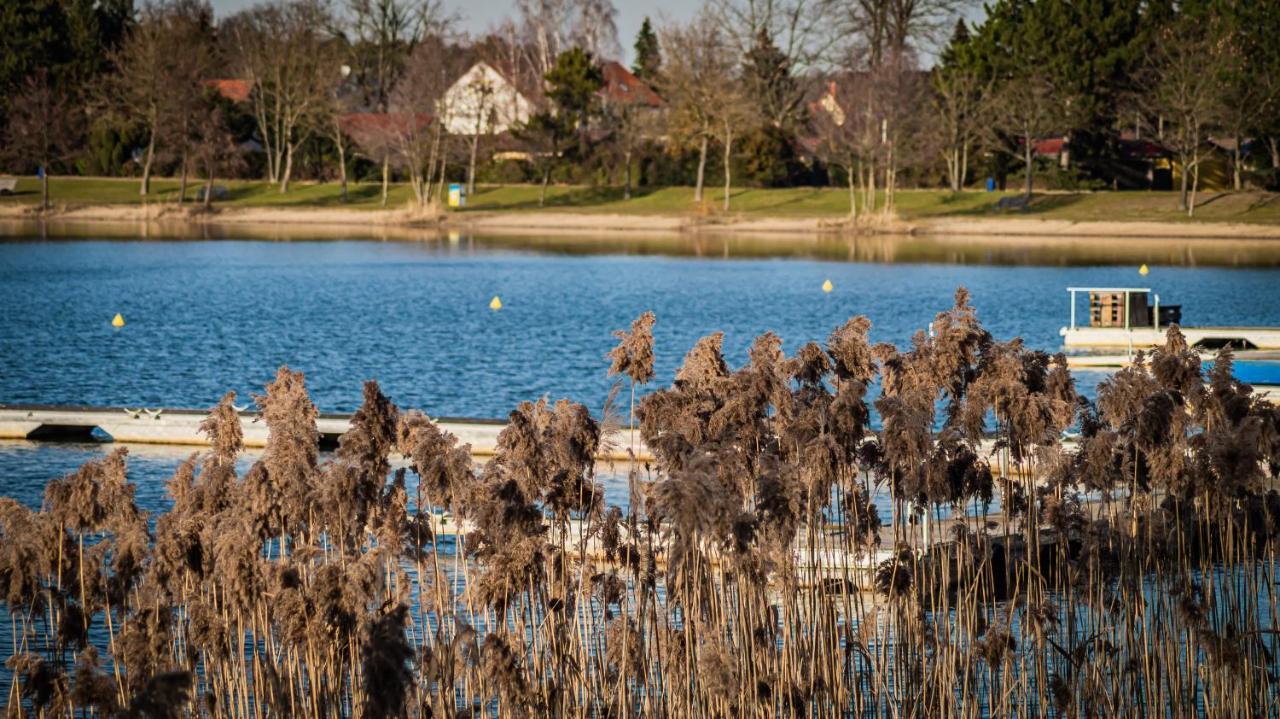 Willa Ferienhaeuser Kiebitzsee Falkenburg Zewnętrze zdjęcie